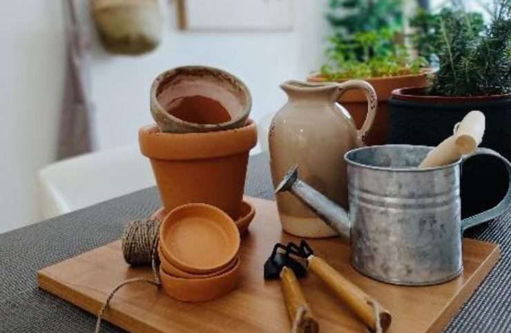 O Atelier de Jardinagem da DomusVi Dom Pedro V